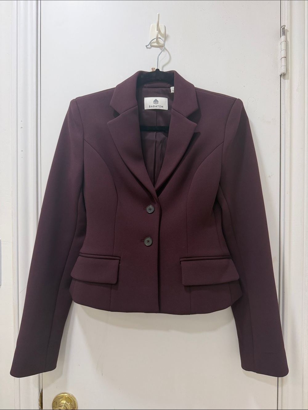 Babaton Tailored Blazer in Plum